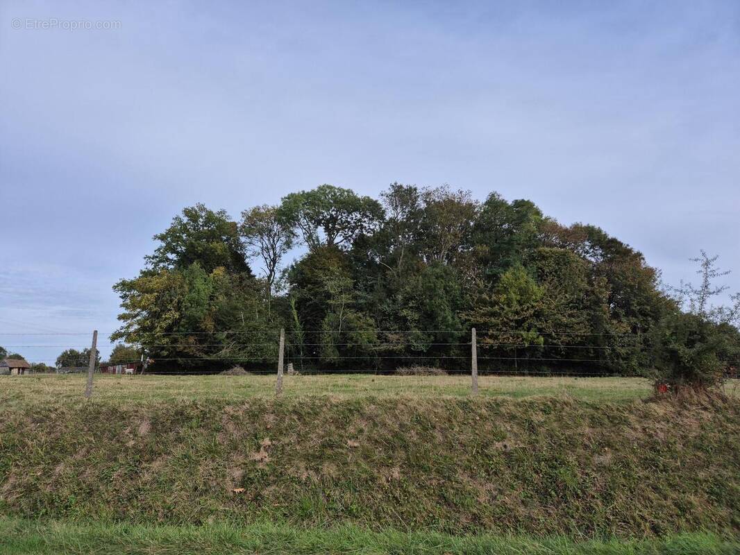 Photo 1 - Terrain à ROUTOT
