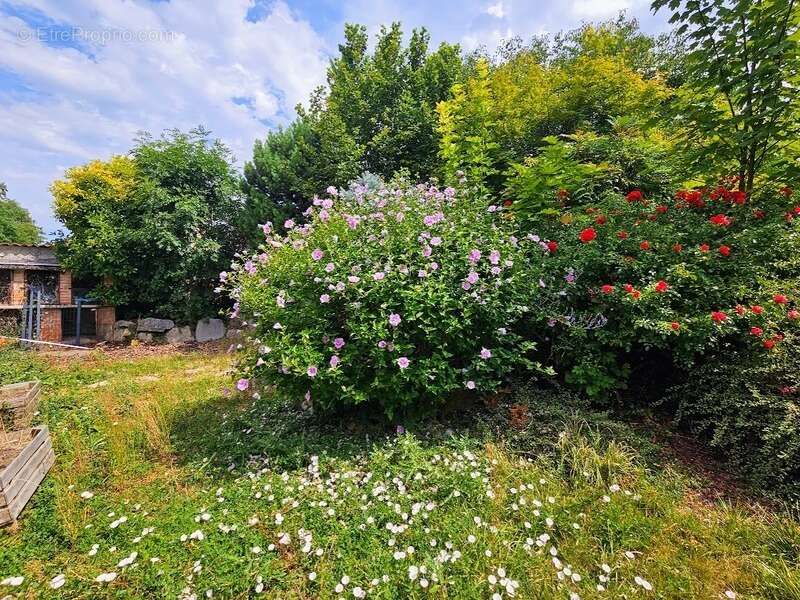 Maison 176 m² habitables - jardin - cour - grange  CHAURIAT (63) - photo 33