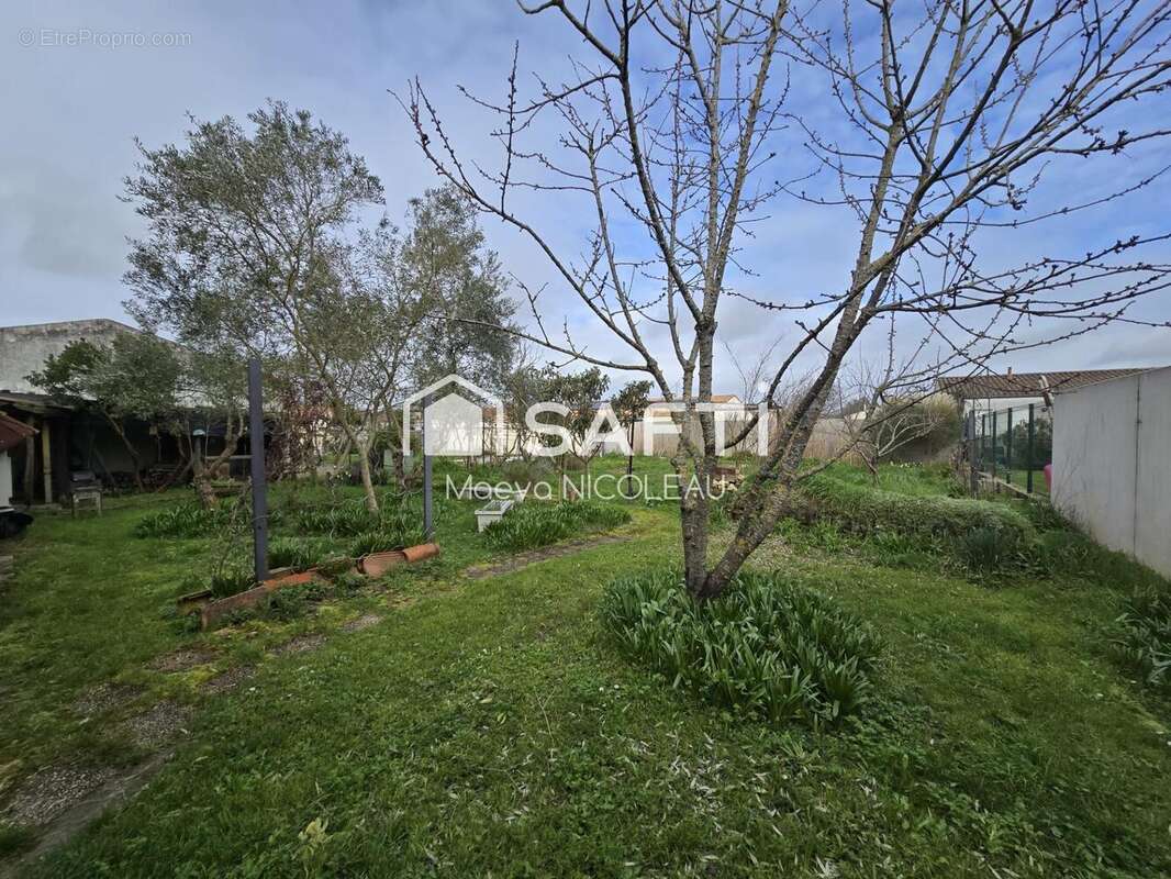 Photo 2 - Maison à AIGREFEUILLE-D'AUNIS