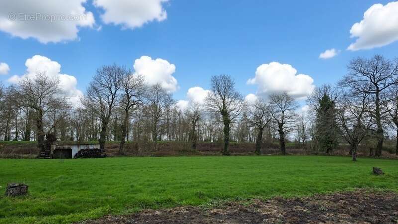 Maison à PLELAN-LE-GRAND