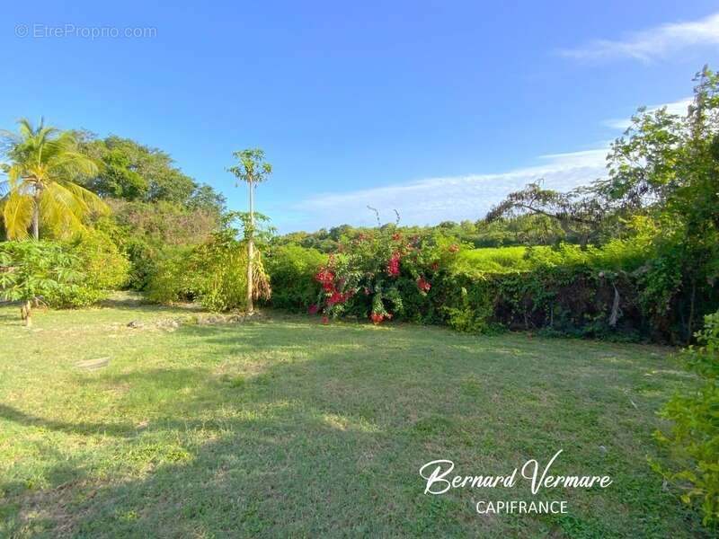 Maison et 3 bungalows - 9 pièces - Piscine - Terrain 2 000m² - photo 34