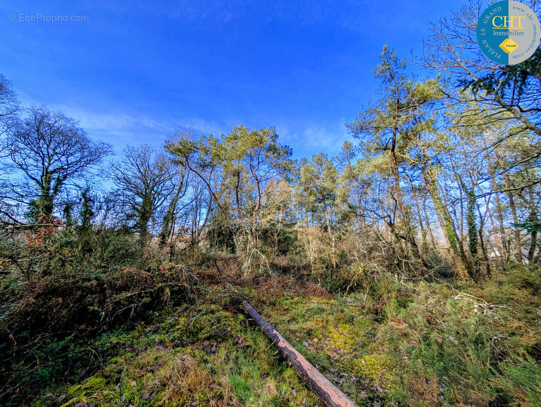 Terrain à BEIGNON