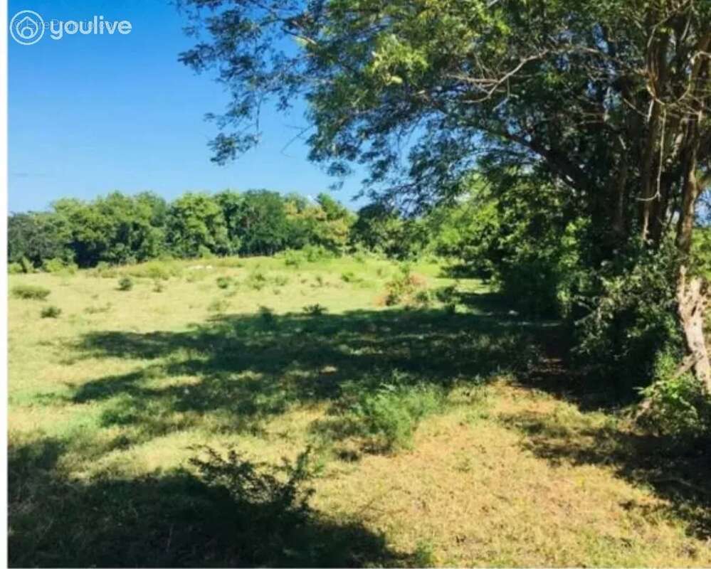 Terrain à LE VAUCLIN