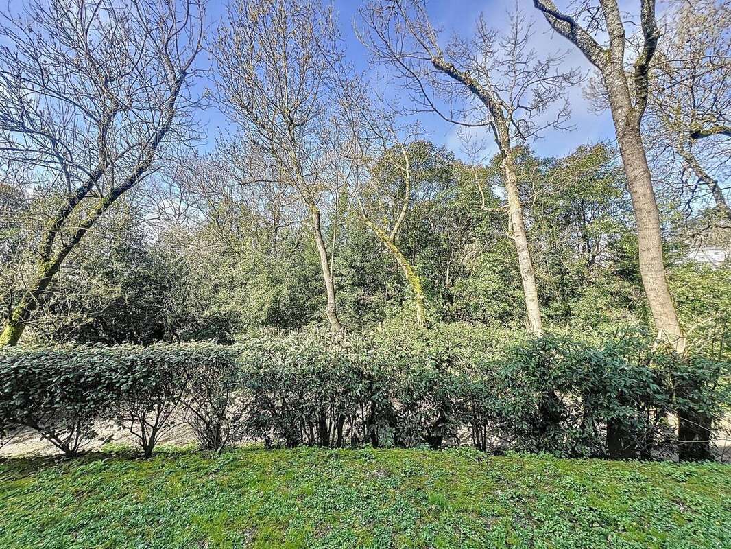 Photo 5 - Appartement à FLOIRAC