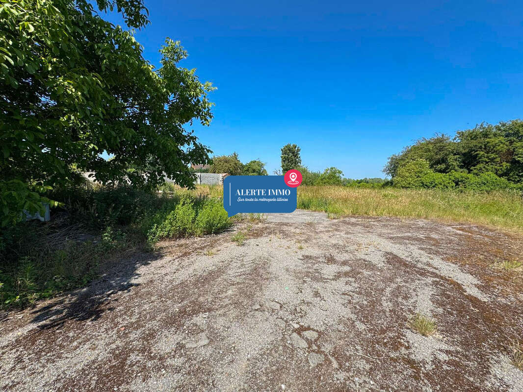 Terrain à LA NEUVILLE