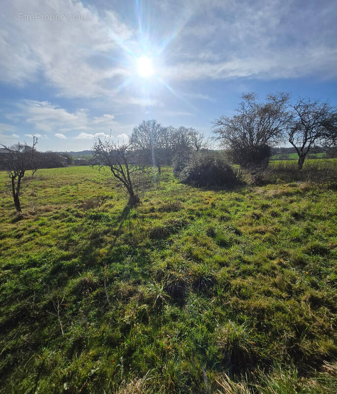 Terrain à MESLAY-DU-MAINE