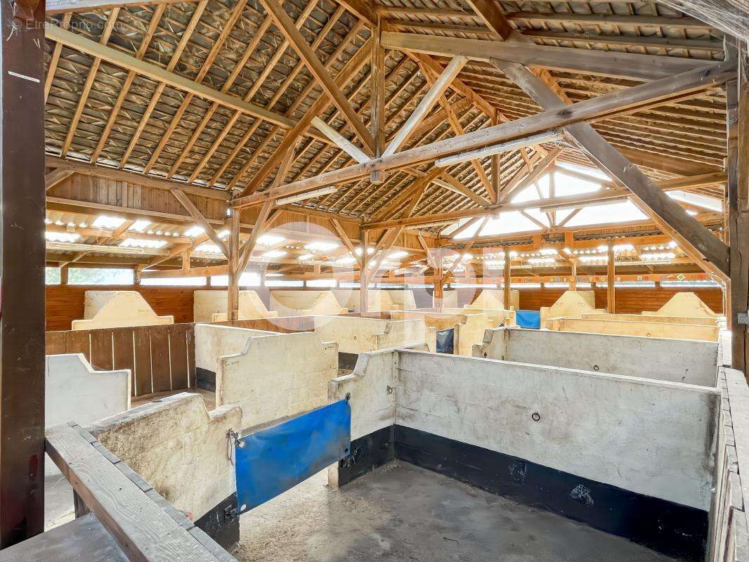 Maison à GUICHAINVILLE