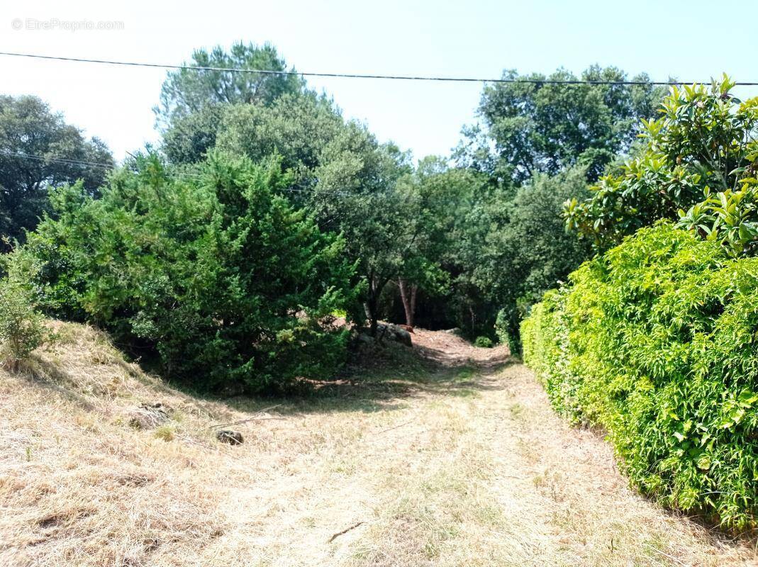 Terrain à POMMIERS