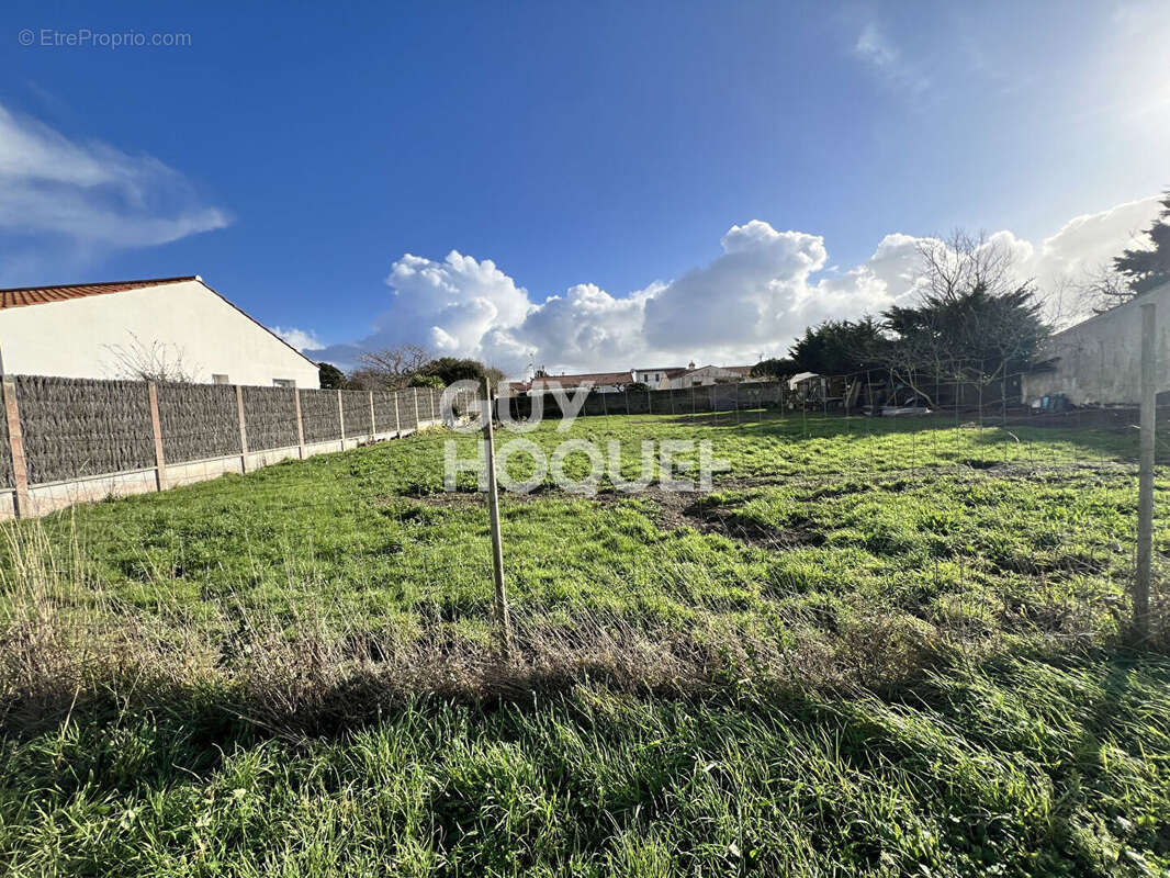 Terrain à SAINT-HILAIRE-DE-RIEZ