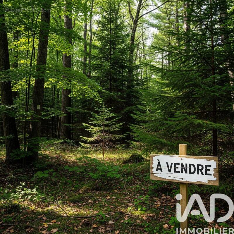 Photo 1 - Terrain à ARSAC