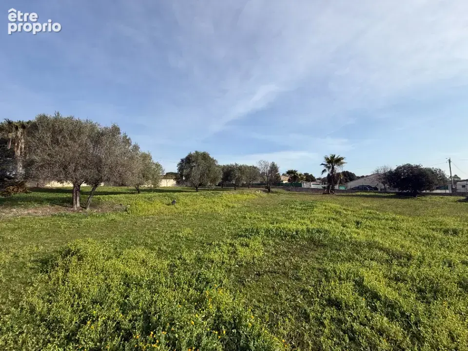 Terrain à ROQUEBRUNE-SUR-ARGENS