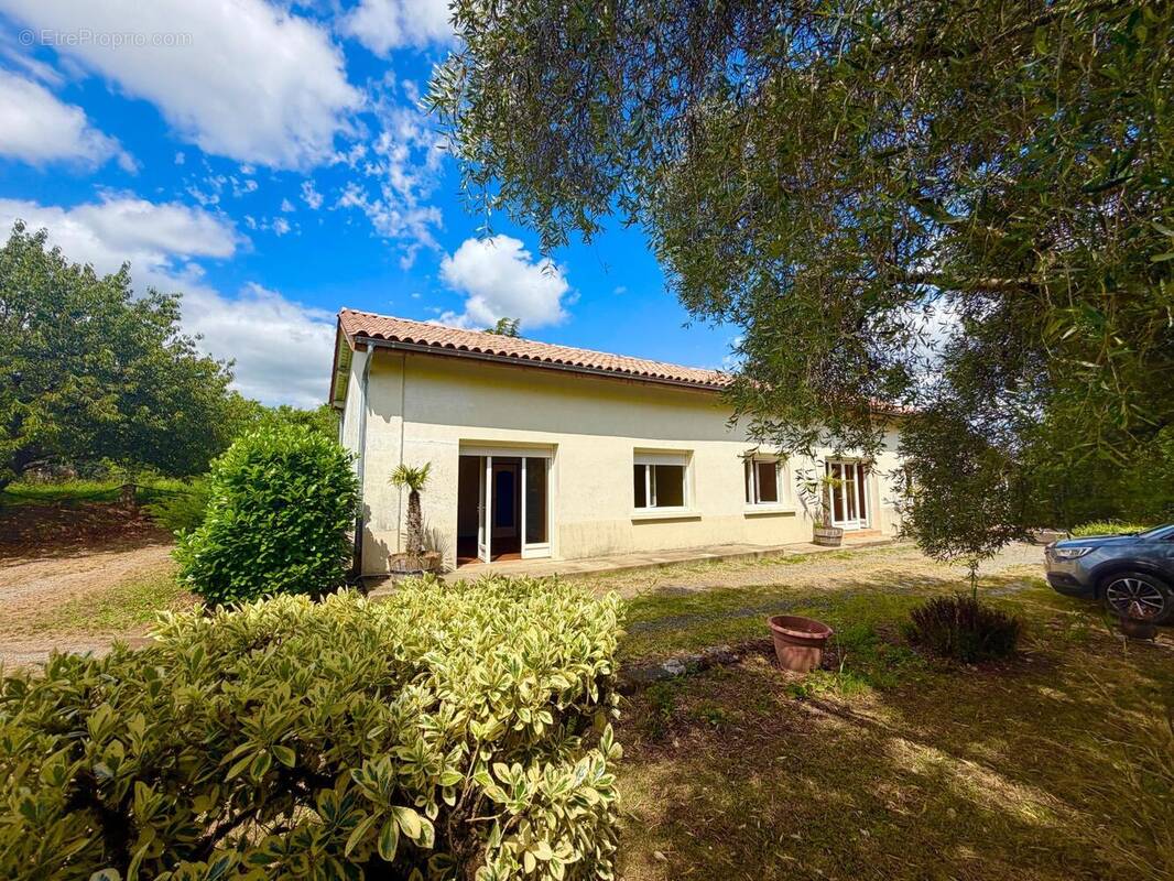 Photo 1 - Maison à SAUVETERRE-DE-GUYENNE