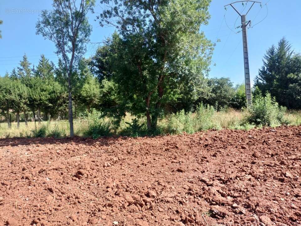 Terrain 300 m² à Le Luc  - photo 3