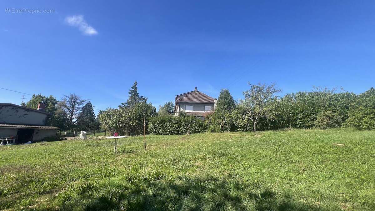 Photo 4 - Terrain à LA TOUR-DE-SALVAGNY