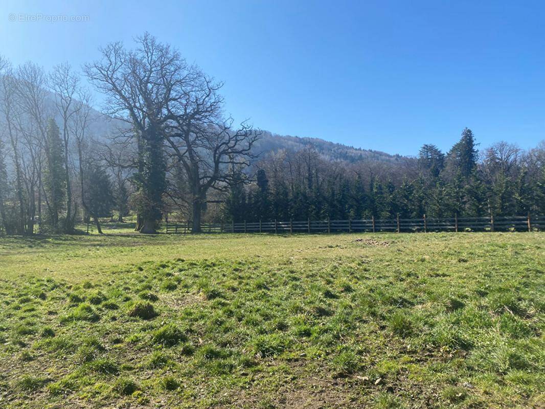 Maison à THONON-LES-BAINS