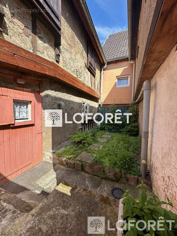 Maison à OBERNAI