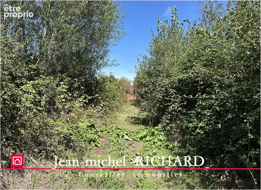 Terrain de loisirs Le Controis En Sologne 5624 m2 - photo 7