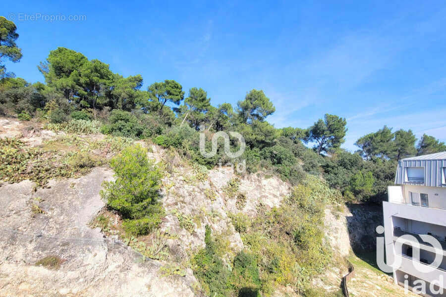 Photo 8 - Appartement à AVIGNON