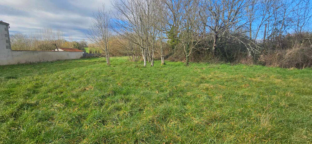 Terrain à AZAY-LE-BRULE