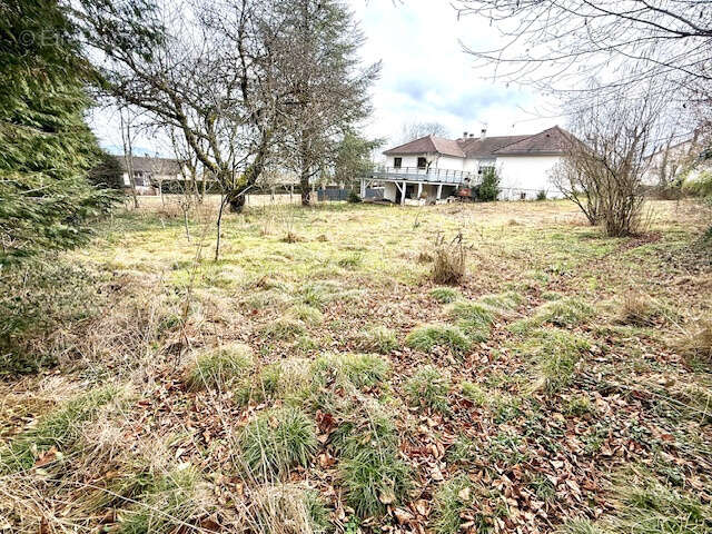 Terrain à BELLEGARDE-SUR-VALSERINE