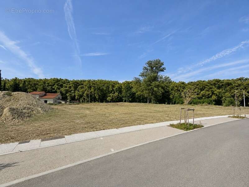 Terrain d’activité de 2 168 m² à vendre – CASTANET-TOLOSAN (31) – Zone Industrielle VIC - photo 2