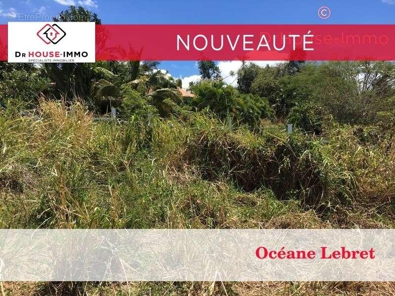 Terrain à VIEUX-HABITANTS