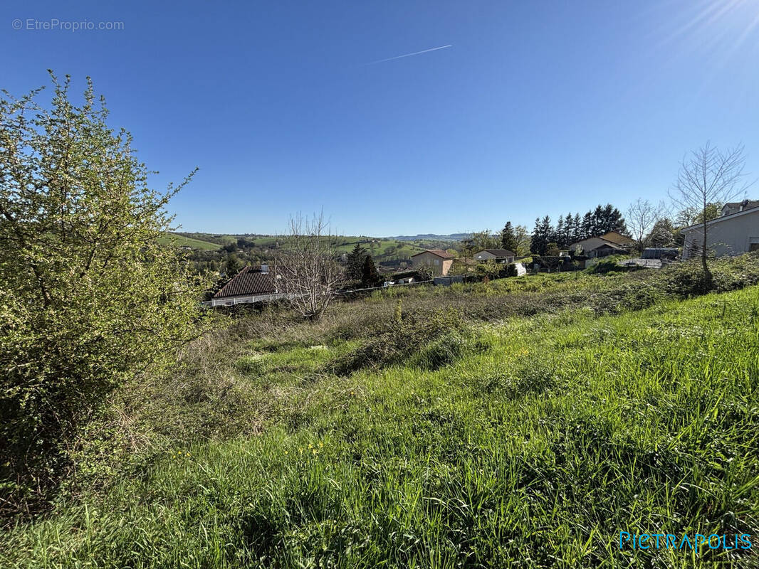 Terrain à AMPLEPUIS