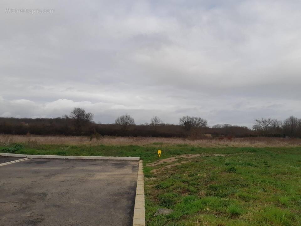 Terrain à GRATENTOUR