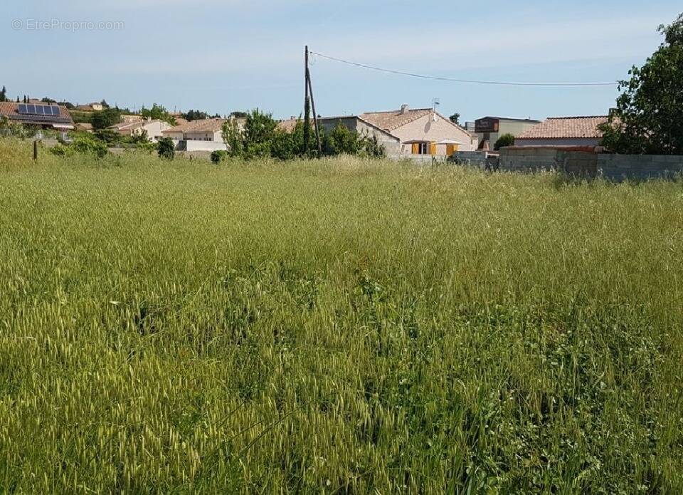Terrain à FABREZAN