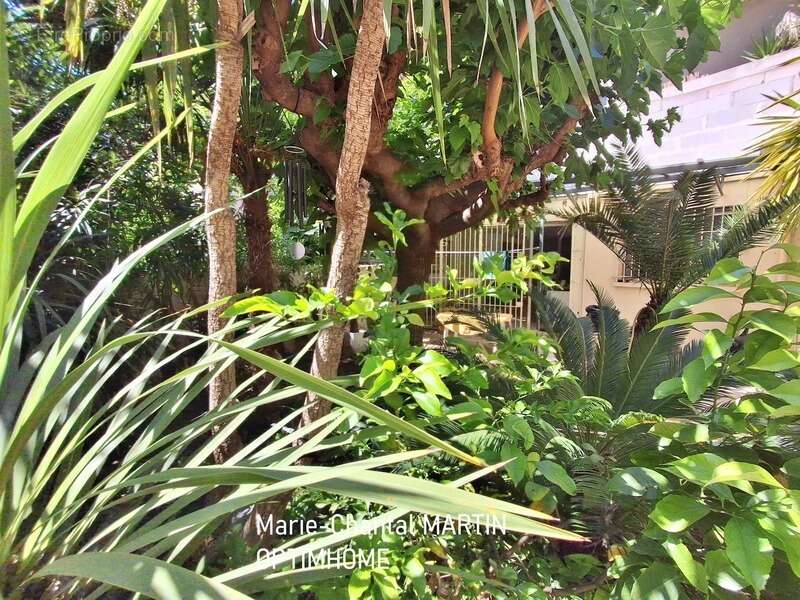 Appartement à MARSEILLE-5E