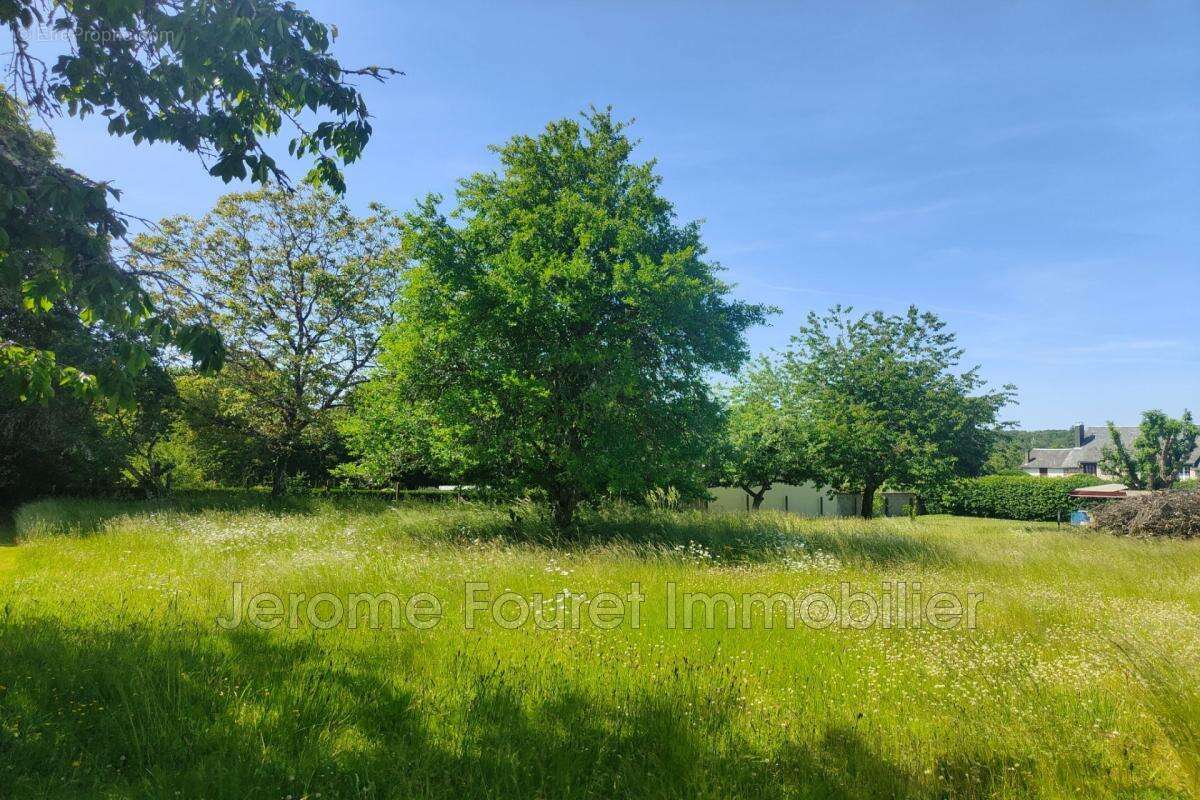 vente terrain - photo 3