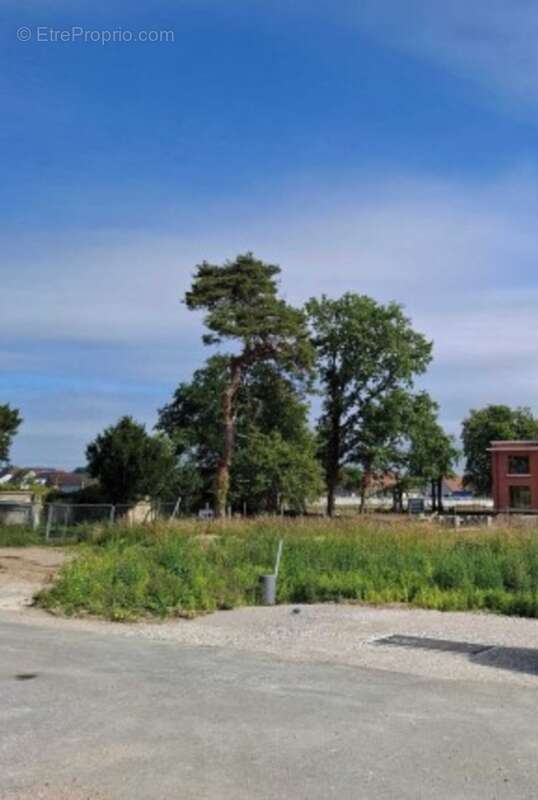 Terrain à RANG-DU-FLIERS