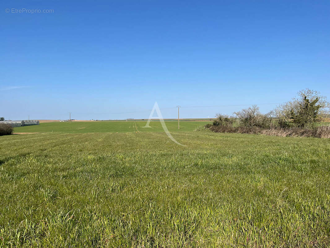 Terrain à MONTREUIL