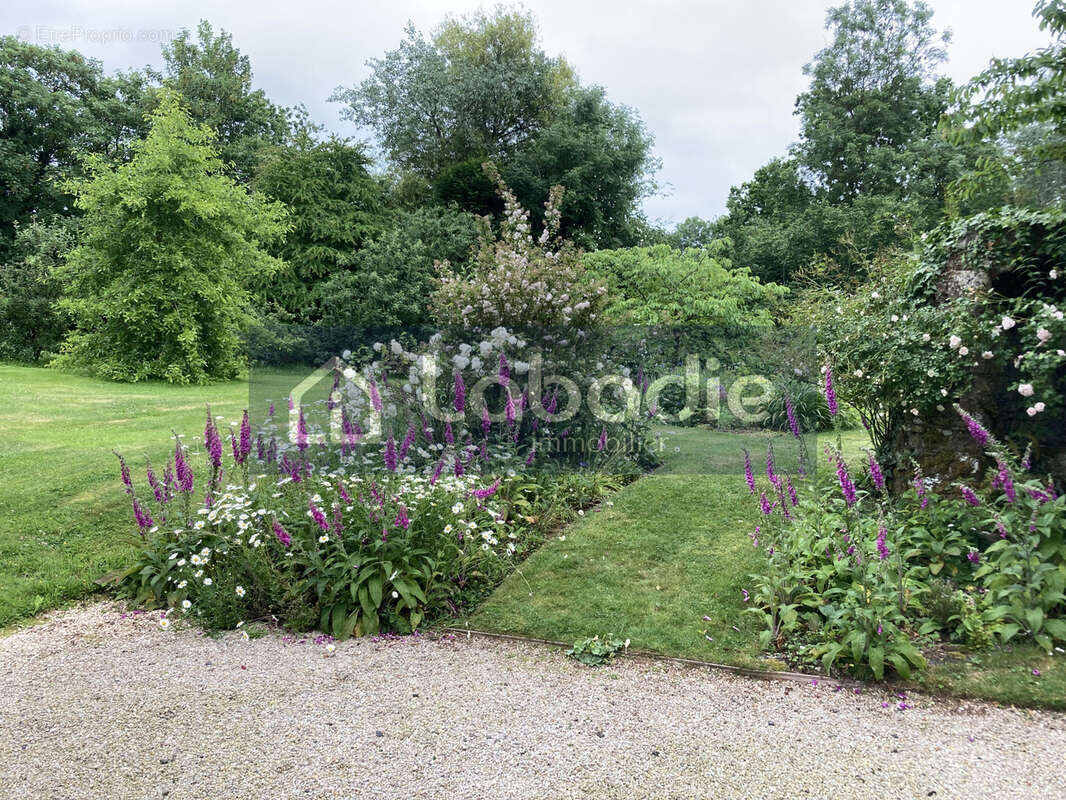 Maison à LE CHEFRESNE