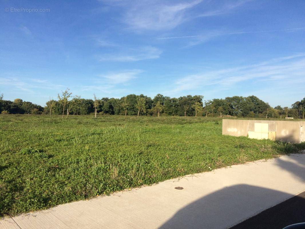 Terrain à AIRE-SUR-L&#039;ADOUR