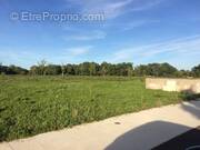 Terrain à AIRE-SUR-L&#039;ADOUR