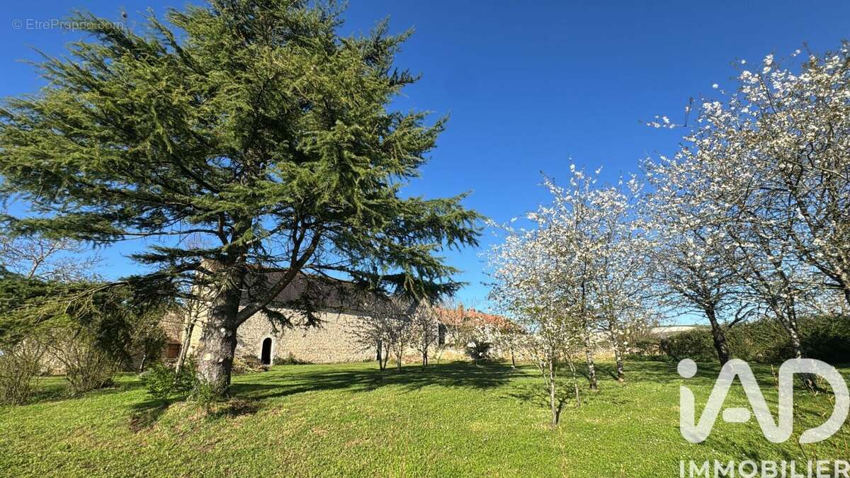 Photo 3 - Maison à CHATELLERAULT