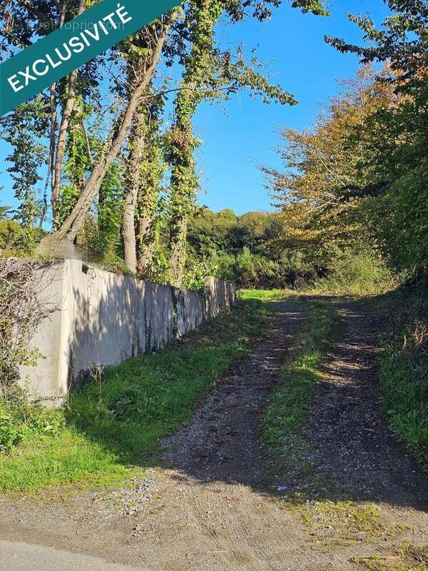 Photo 3 - Terrain à PAIMPOL