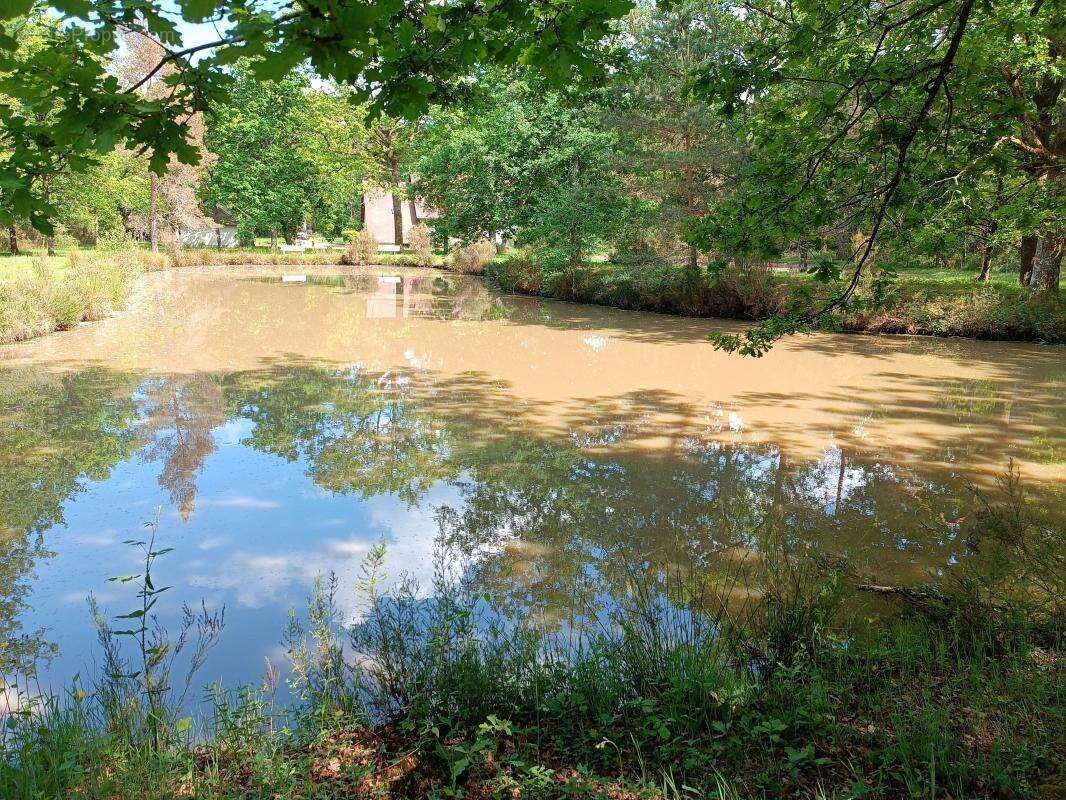 Maison à LIGNY-LE-RIBAULT