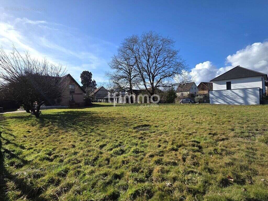 Terrain à ASPACH-LE-HAUT