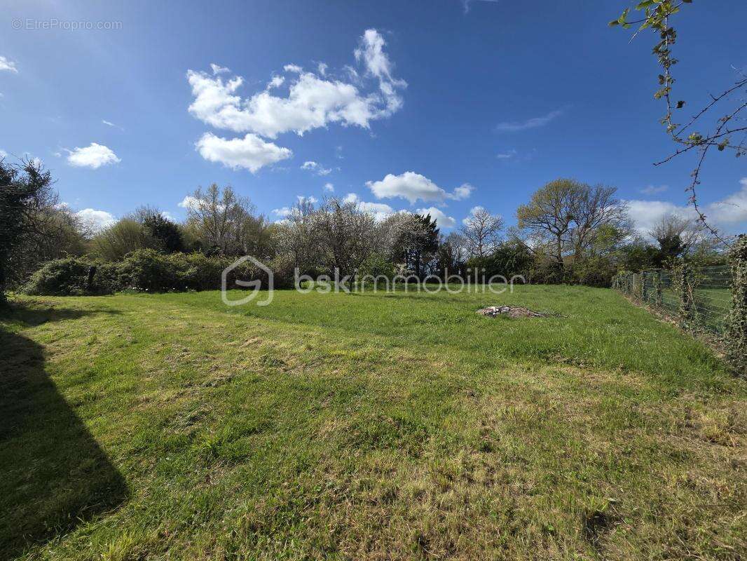 Ensemble immobilier à fort potentiel – calme, verdure et multiples dépendances - photo 28