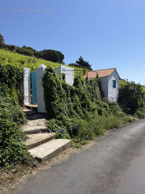Terrain à COLLIOURE