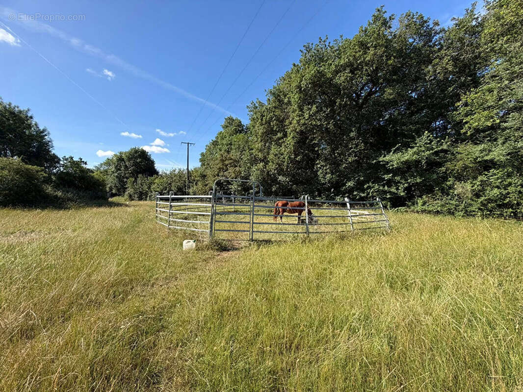 VIENNE ? Superbe propriété de campagne mitoyenne avec 1,2 hectare de terrain attenant, piscine et cadre champêtre exceptionnel. - photo 16