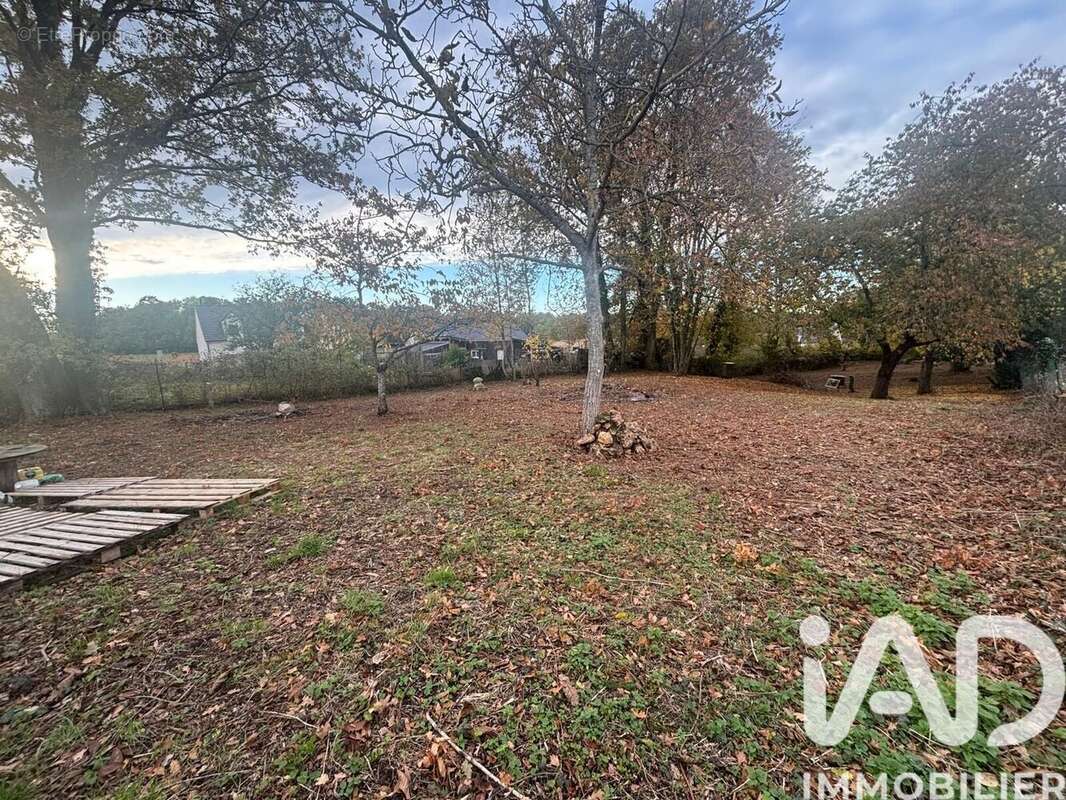 Photo 2 - Terrain à SOIGNOLLES-EN-BRIE