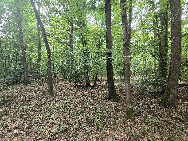 Maison à VERNEUIL-SUR-AVRE