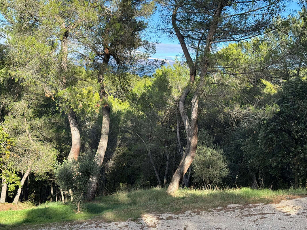 Maison carpentras  200 m2 avec piscine sur terrain de 22 444 m² - photo 14