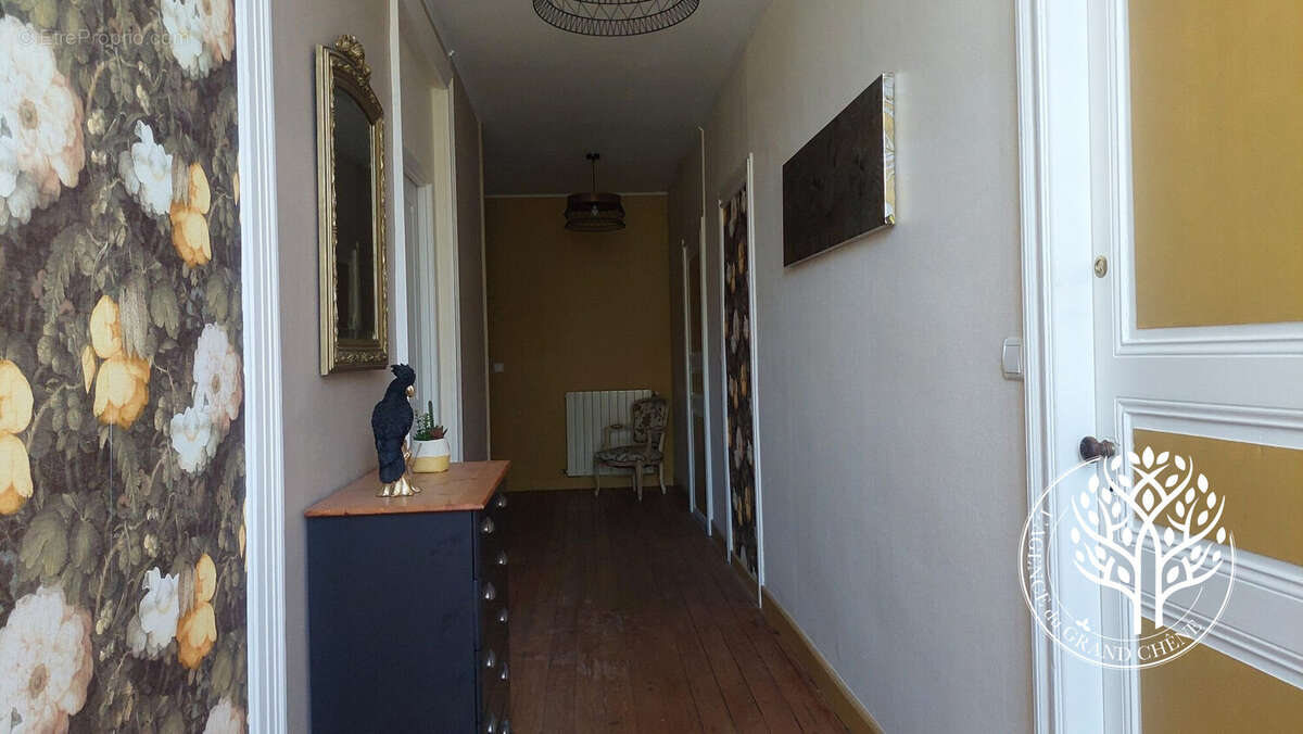 immeuble caractère - Appartement à SAINT-SAVINIEN