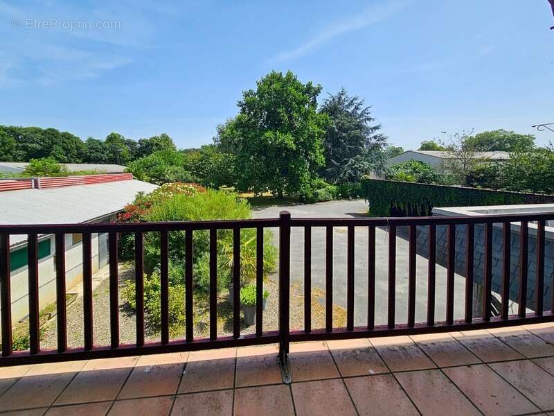 Dpt Hautes Pyrénées (65), à vendre MOMERES maison avec chambres d'hôtes P14 de 453 m² - Terrain de 3 744,00 m² - photo 17