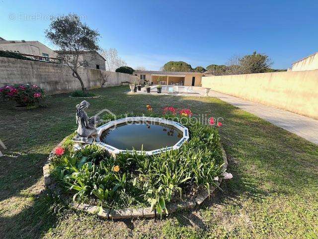 Maison à LANSARGUES