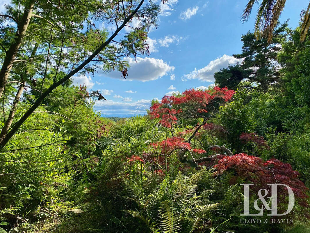 Maison à SALIES-DE-BEARN